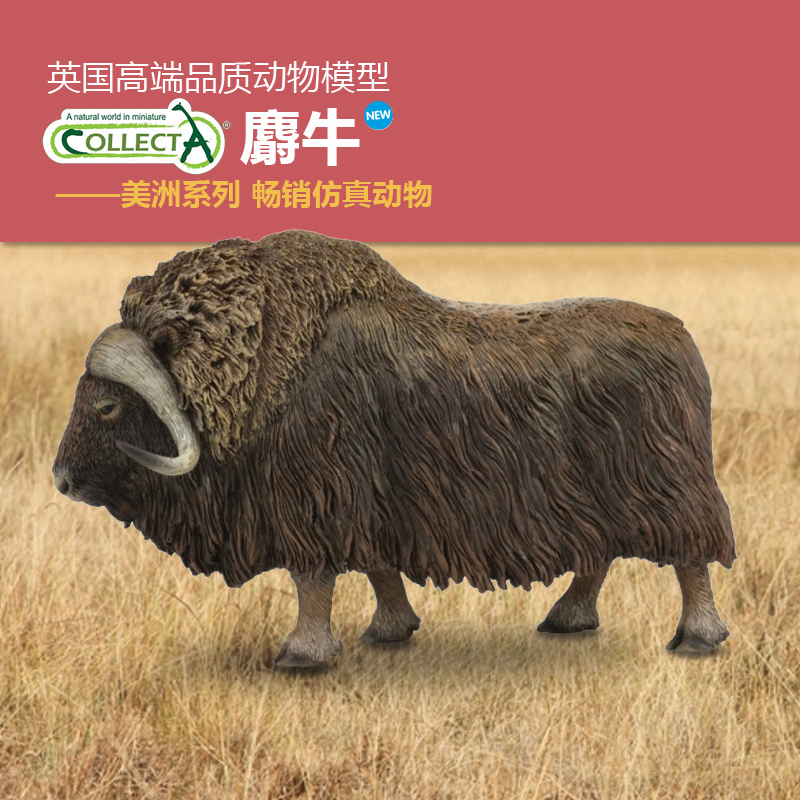 认知英国仿真模型儿童摆件动物