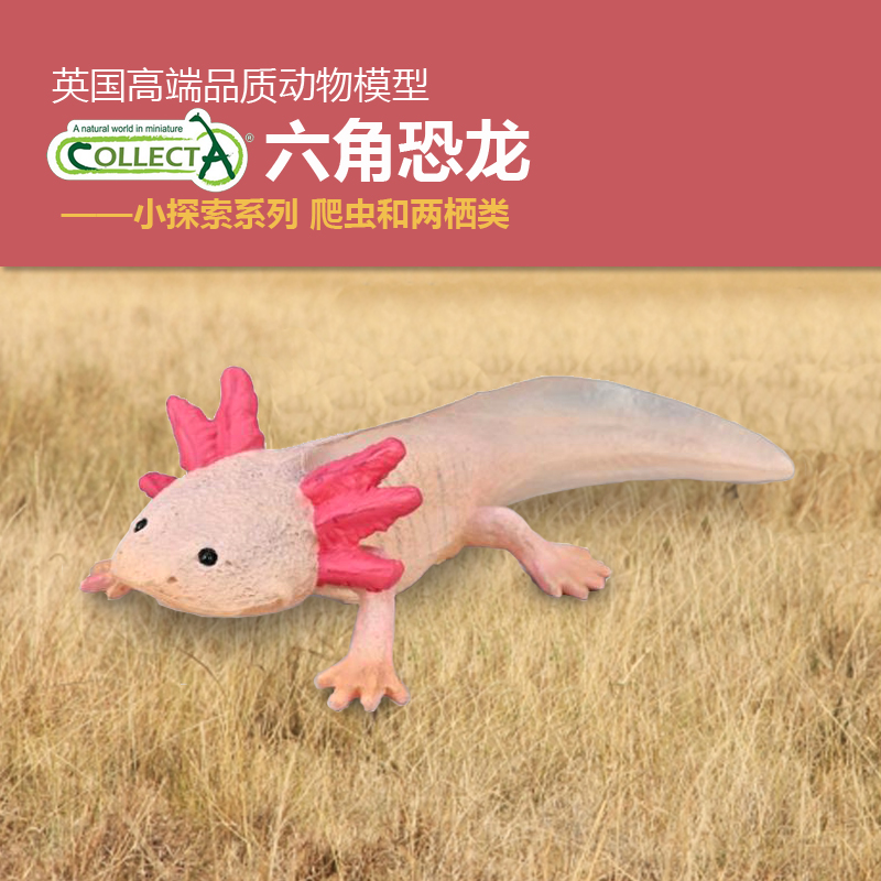 CollectA六角恐龙-墨西哥钝口螈