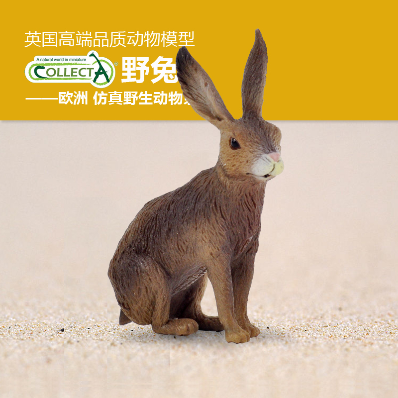 儿童Collecta野兔子动物认知