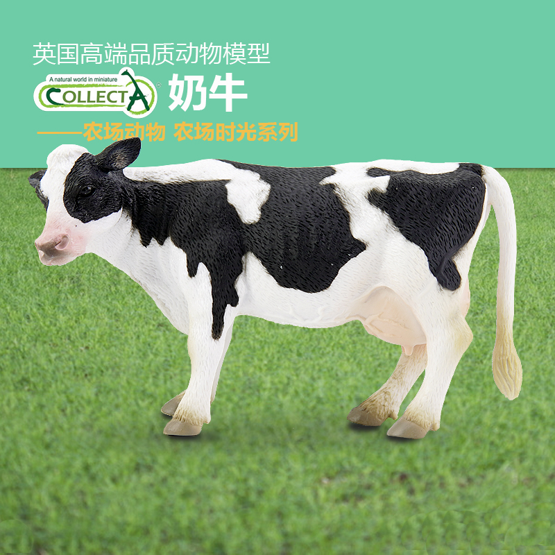 家畜Collecta牛儿童玩具动物模型