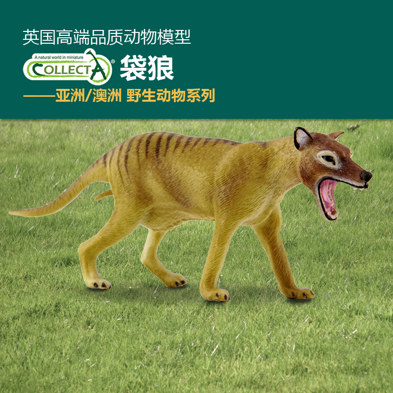袋狼科普仿真动物模型儿童玩具
