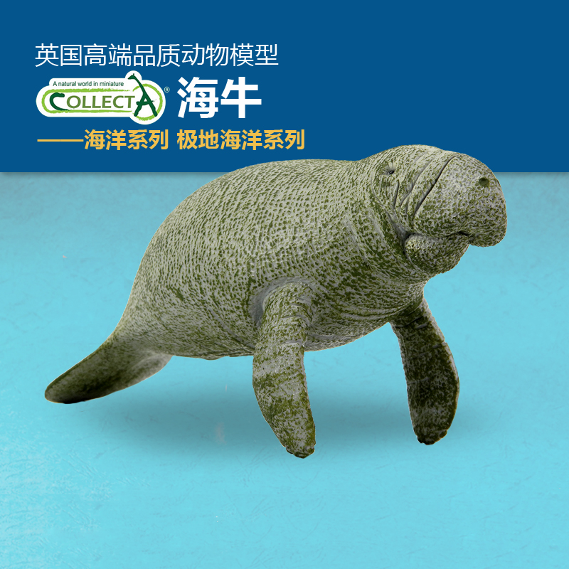 英国我你他仿真认知玩具动物模型