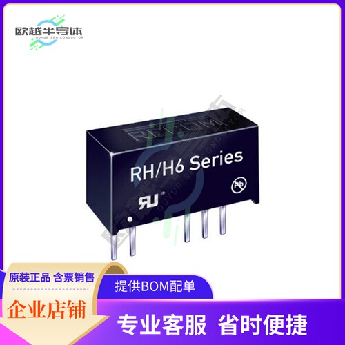 RK-2405S/H6【DC DC CONVERTER 5V 1W】