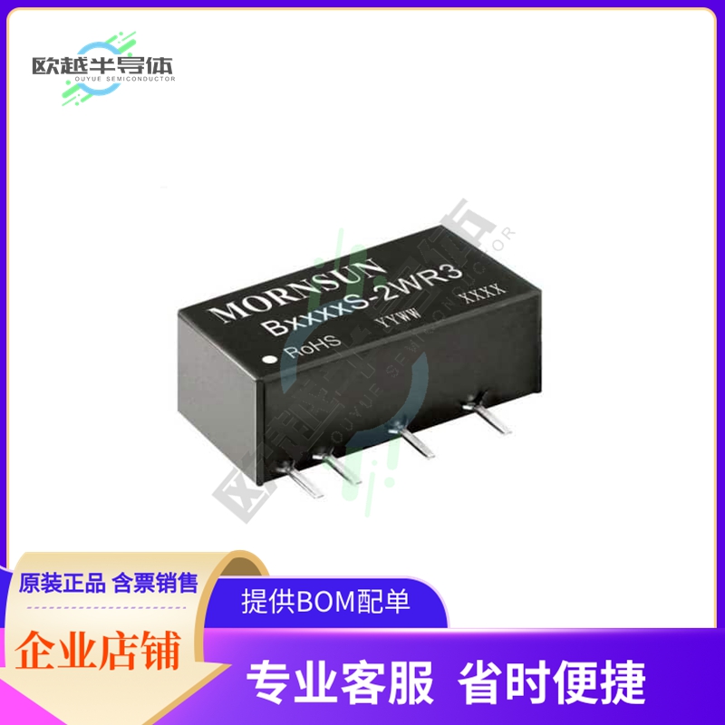 B0524S-2WR3【DC DC CONVERTER 24V 2W】