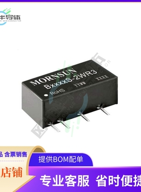 B0524S-2WR3【DC DC CONVERTER 24V 2W】