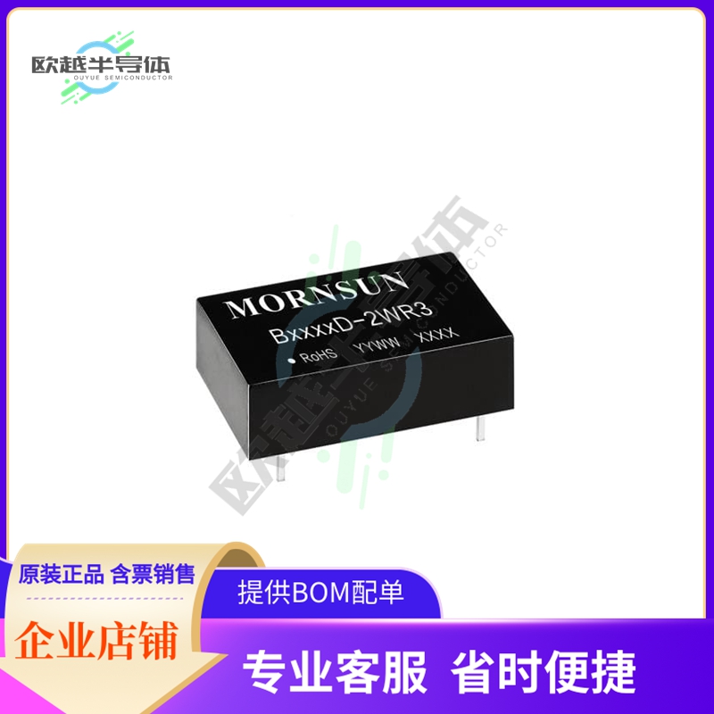 B1509D-2WR3【DC DC CONVERTER 9V 2W】