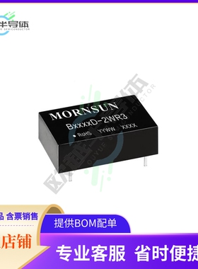 B1509D-2WR3【DC DC CONVERTER 9V 2W】