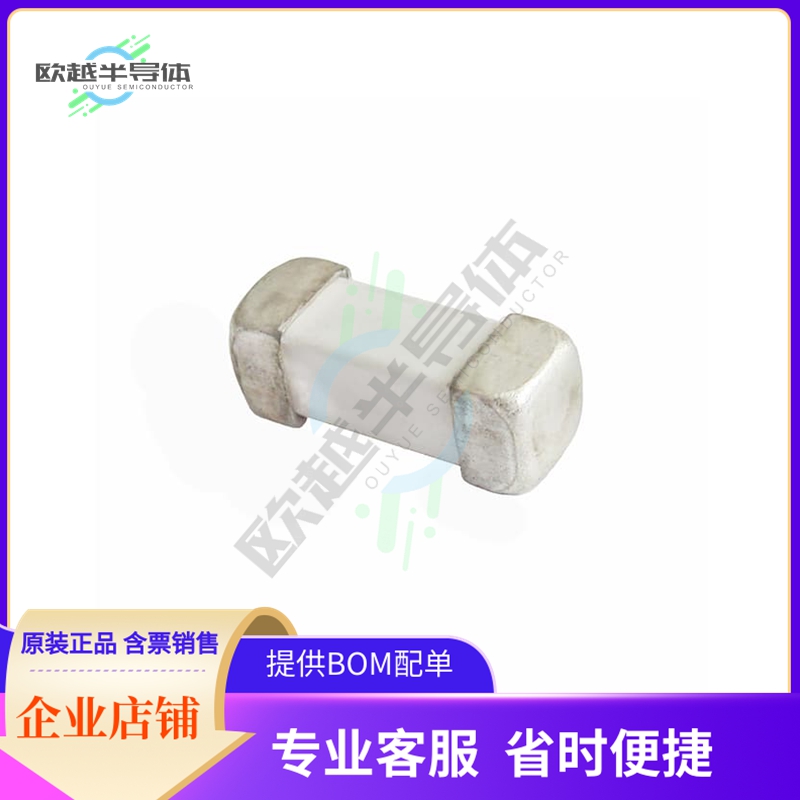 1245HC60-RTR【FUSE 60A SMD 1245】
