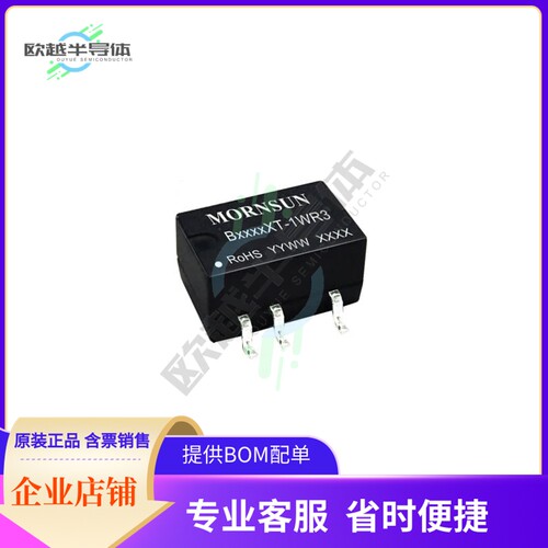 B0303XT-1WR3【DC DC CONVERTER 3.3V 1W】