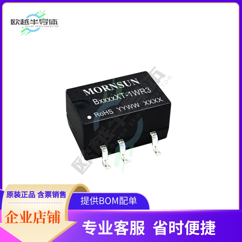 B0315XT-1WR3【DC DC CONVERTER 15V 1W】
