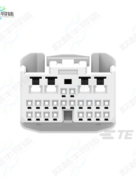 1318756-1[连接器CONN PLUG HSG 24POS 2.20MM]