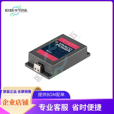 TMP 30317C【AC/DC CONVERTER 5V 3.3V 12V 29W】