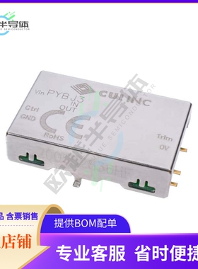 PYBJ3-D24-S12-M【DC DC CONVERTER 12V 3W】