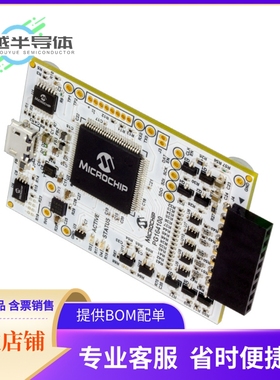 烧录器 PG164100【MPLAB SNAP DEBUGGER】