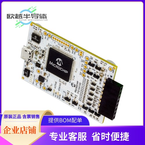 烧录器 PG164100【MPLAB SNAP DEBUGGER】