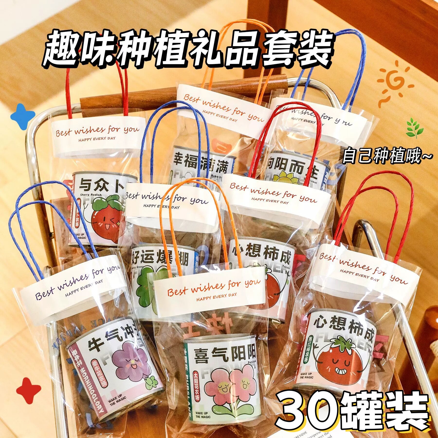 创意礼物儿童种植小盆栽生日礼物幼儿园小朋友礼品学生奖品伴手礼