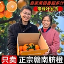 现摘现发手剥冰糖甜橙子 包邮 正宗江西赣南脐橙应当季 新鲜水果20斤