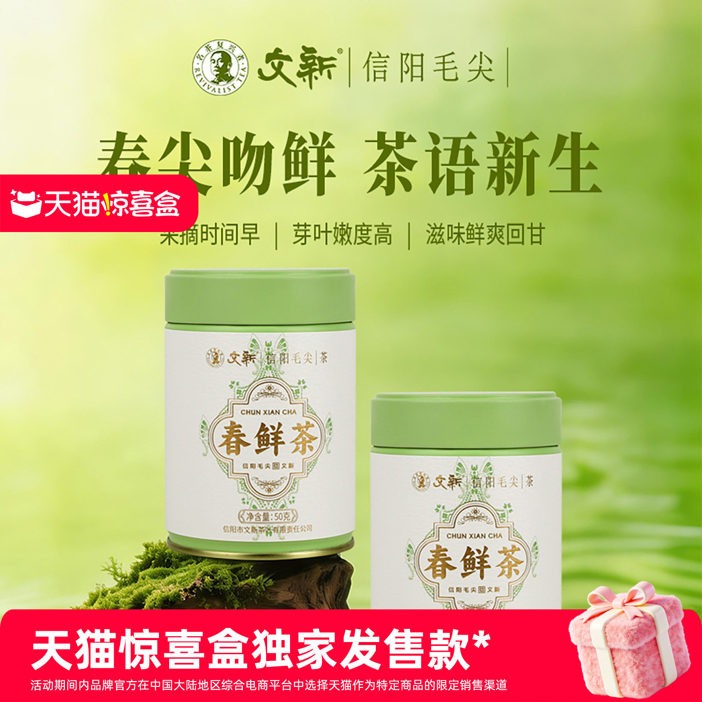 【独家惊喜盒】文新信阳毛尖绿茶茶叶2026新茶明前春鲜茶50g*2罐