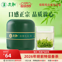 春茶上市文新信阳毛尖绿茶2026新茶茶叶明前特级嫩芽叶绿罐装50g