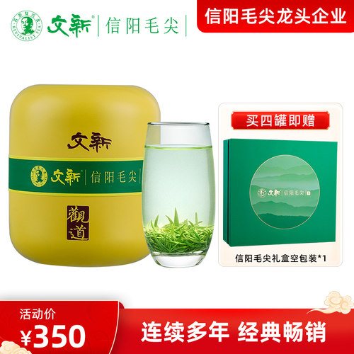 文新信阳毛尖明前珍品观道