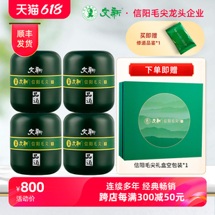 春茶上市文新信阳毛尖绿茶2024新茶雨前特级品道60g 4茶叶礼盒装