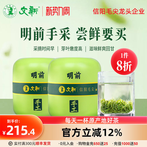 文新信阳毛尖明前头采
