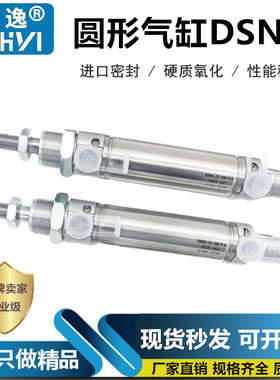 气缸DSNU8 10 12 16-20 25 30 40 50 60 100-P-A-PPV-MQ