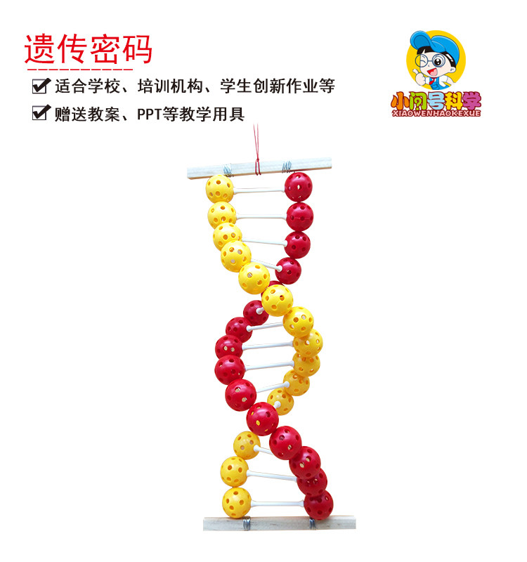 s8遗传密码dna双螺旋结构小问号科学实验器材科技制作模型教具
