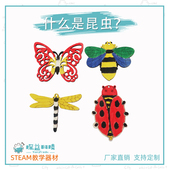 什么是昆虫STEAM幼小初物理科学实验材料教具益智科技手工小制作