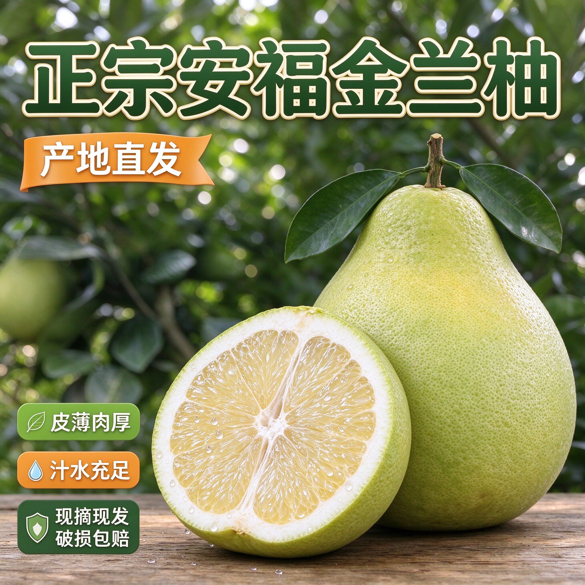 江西井冈蜜柚安福金兰柚白心柚子