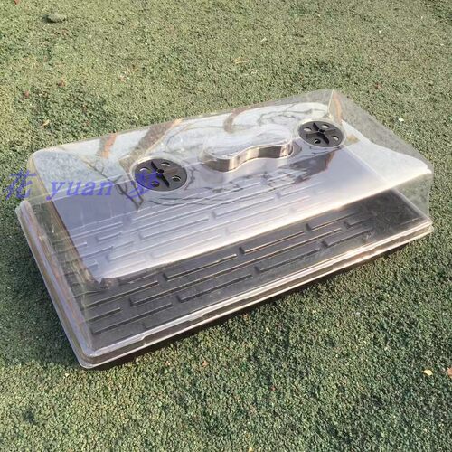 穴盘保温保湿不漏水育苗盒