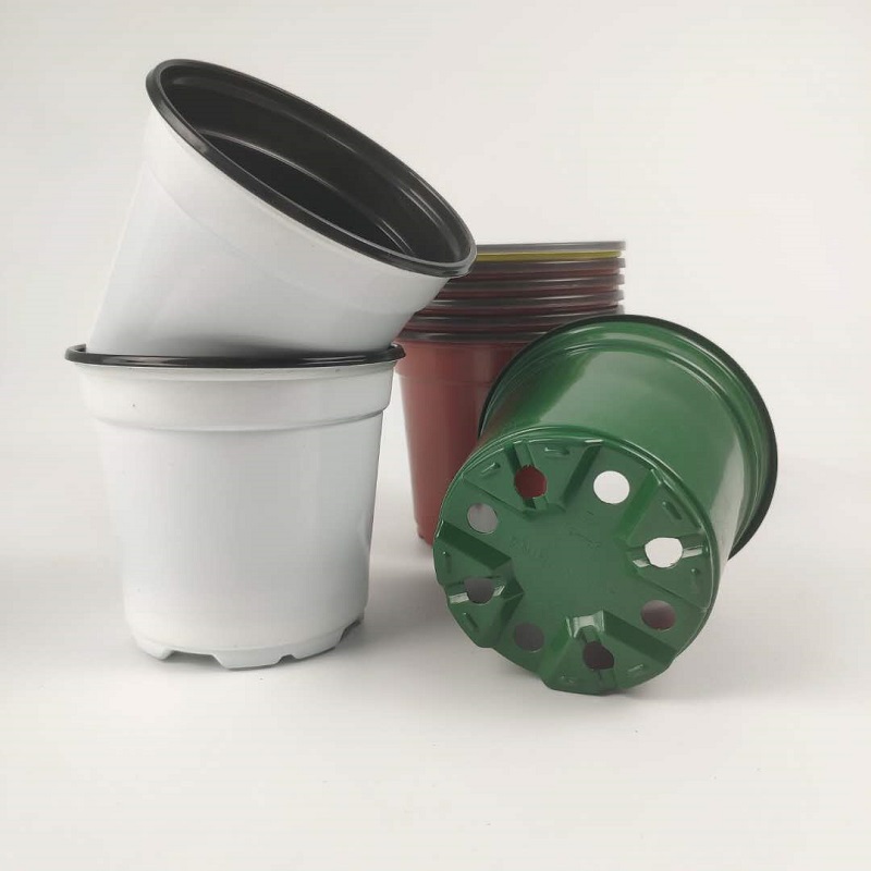 加厚双色塑料月季园艺基地扦插