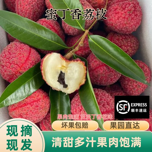 蜜丁香荔枝顺丰冷链包邮老树鲜果