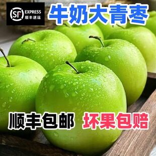 福建台湾牛奶枣脆甜大青枣冬枣新鲜苹果枣当季 京东 水果 顺丰