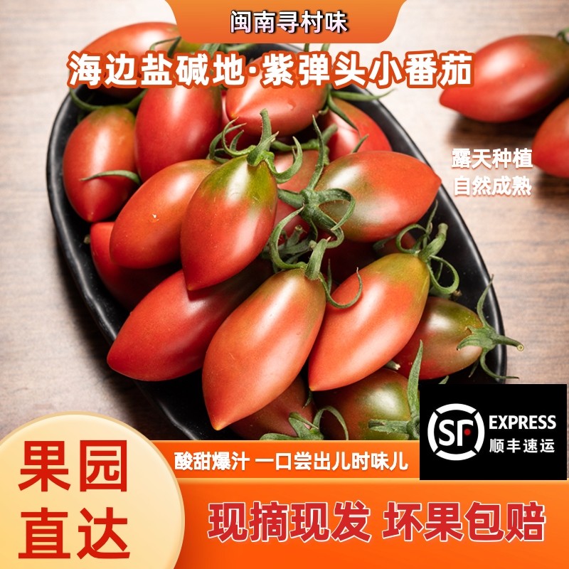顺丰包邮福建紫色西红柿子弹头型番茄圣女果樱桃千禧新鲜应季水果,水产肉类/新鲜蔬果/熟食,番茄,淘宝优惠券,粉丝福利购,淘宝优惠卷