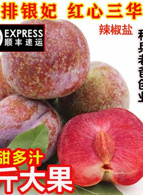 三华李新鲜孕妇水果芙蓉李
