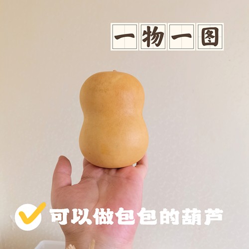 一物一图胖墩粗腰保定墩葫芦可DIY做包包的葫芦文玩花叶病盘玩