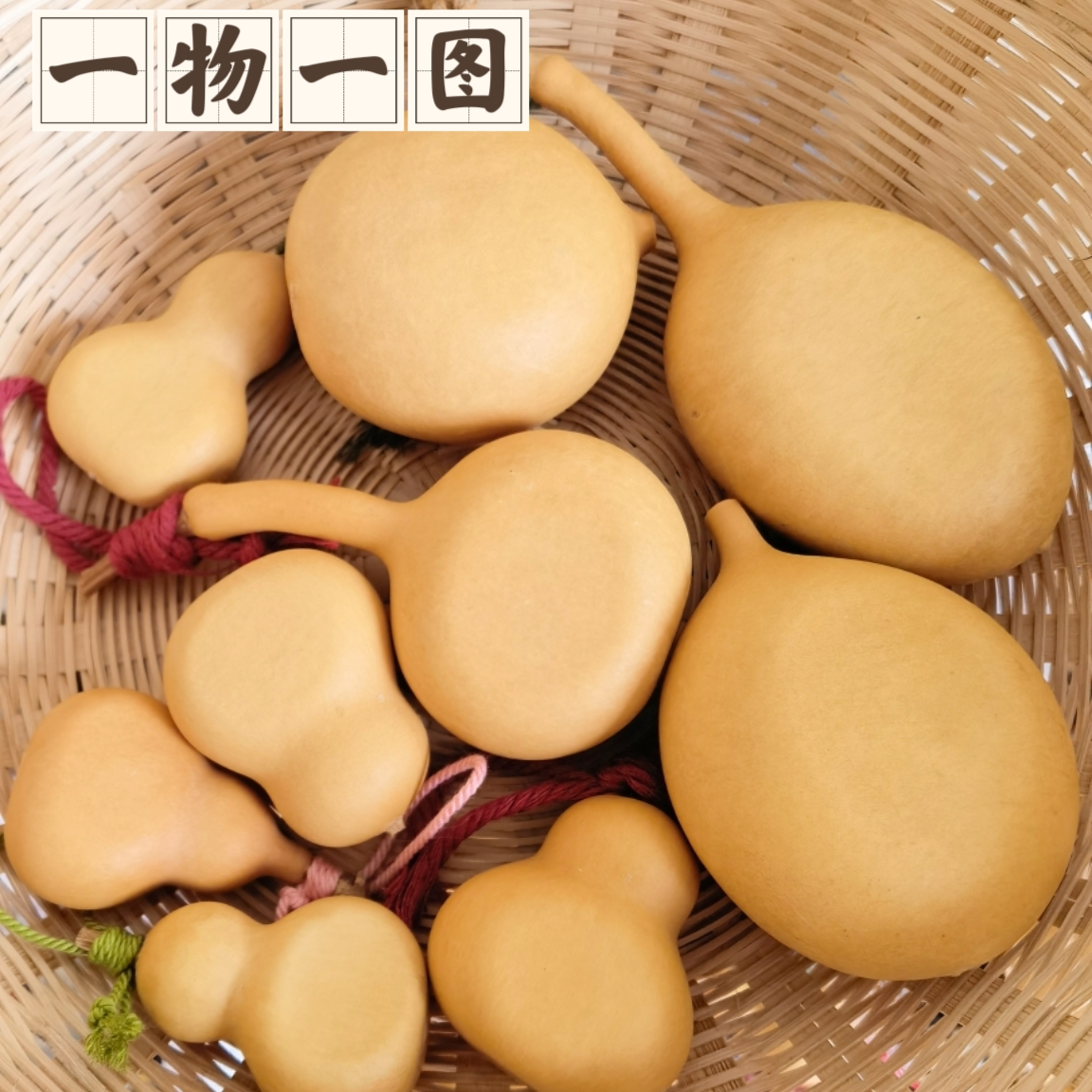 一物一图夹扁小美果瓶子葫芦苹果夹扁文玩葫芦平底锅凹扁精品葫芦