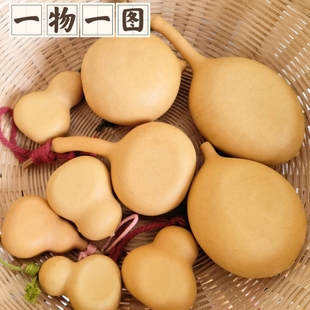 一物一图夹扁小美果瓶子葫芦苹果夹扁文玩葫芦平底锅凹扁精品葫芦