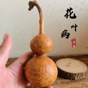 一物一图老红皮老葫芦花叶病葫芦文玩手捻小胖墩葫芦八宝葫芦摆件