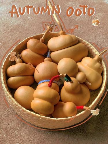 一物一图八宝钱袋子葫芦文玩葫芦家居摆件盘玩异形嘞扎葫芦 - 封面