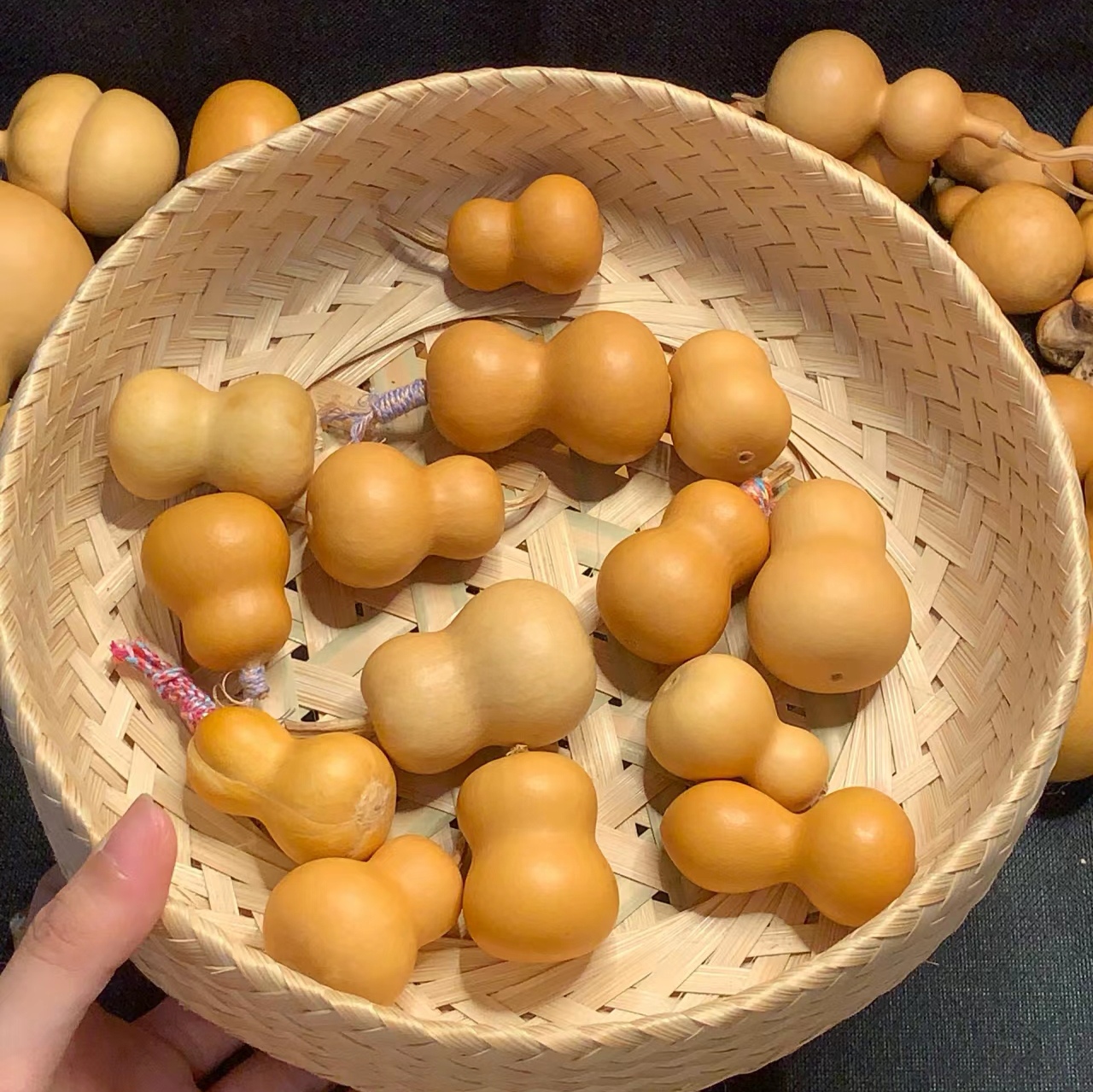 一物一图小瓶子平头骨头绕哑铃葫芦可绕指柔盘玩文玩手把件手捻