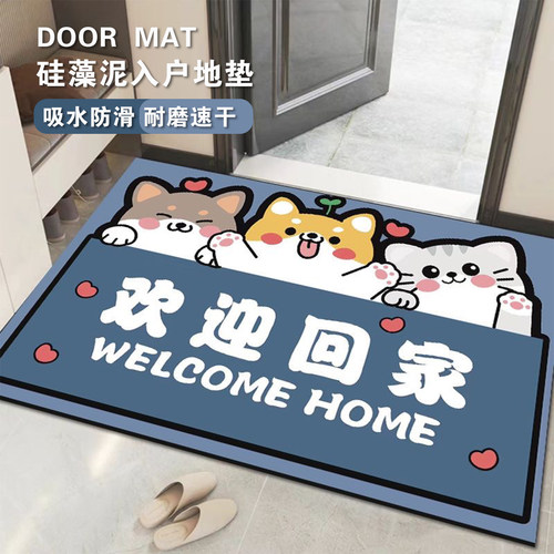 硅藻泥吸水防滑入户地垫