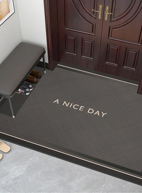 入户门口地垫硅藻泥可裁剪地垫入户门垫进门除尘防滑吸水门口脚垫