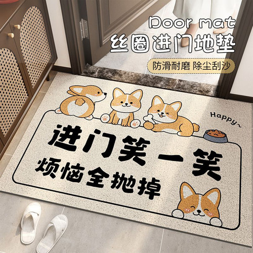 卡通丝圈入户地垫防滑除尘耐脏