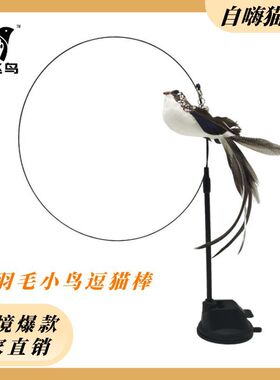 Love Flying Bird Cross border Hot Sale Exclusive Upgraded D