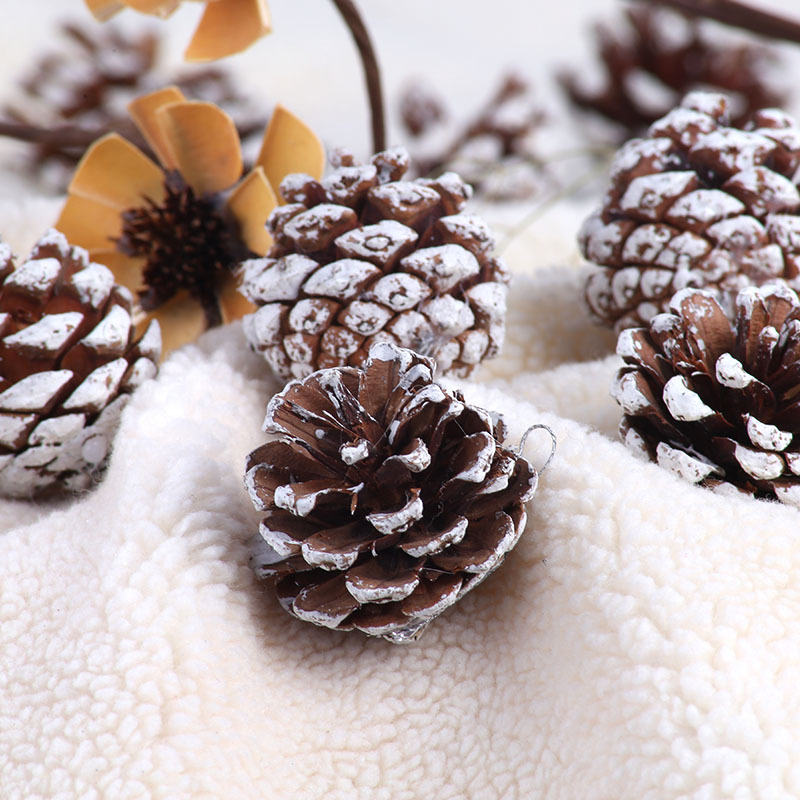 Christmas decorations with white borders, natural pine cone
