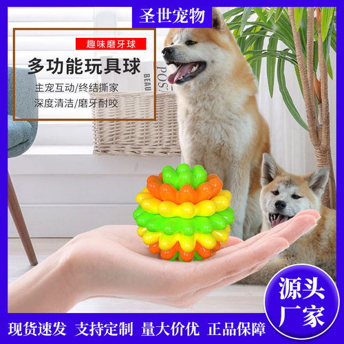 Dog toy ball, pet teeth grinding, Labrador Retriever chew g