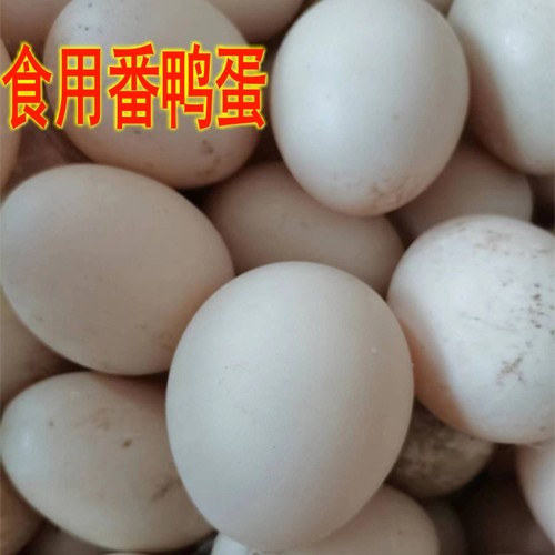 正宗番鸭蛋鸳鸯鸭蛋农家散养新鲜