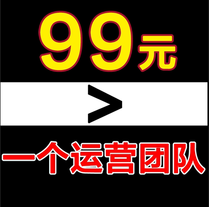 个人专业电商淘宝C店天猫代运营直通车推广网店全店托管包月方案